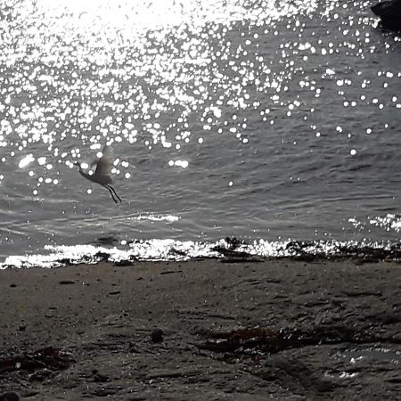 Appartement Proche De La Mer Guilvinec Buitenkant foto